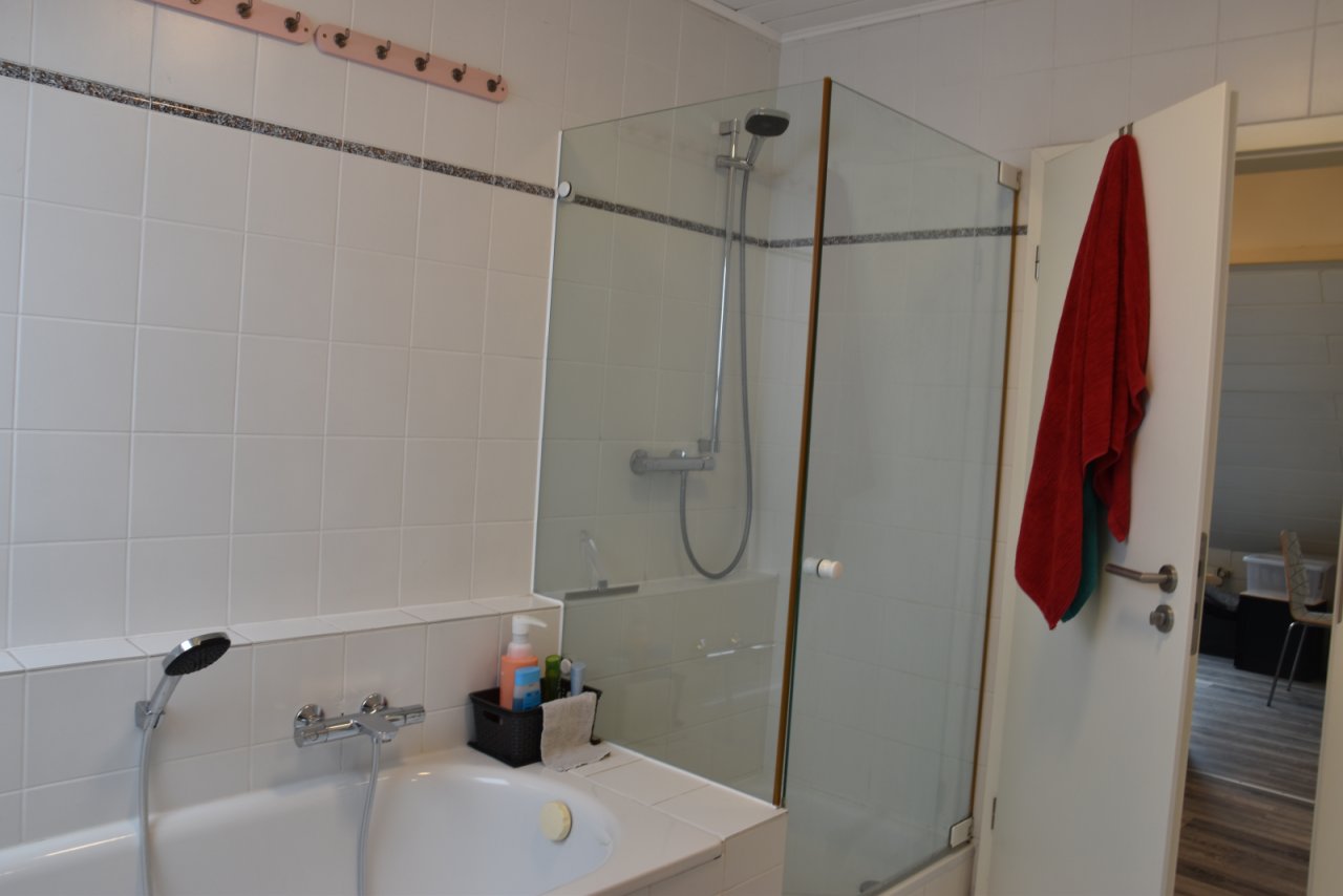 Masterbad mit  Dusche-Badewanne